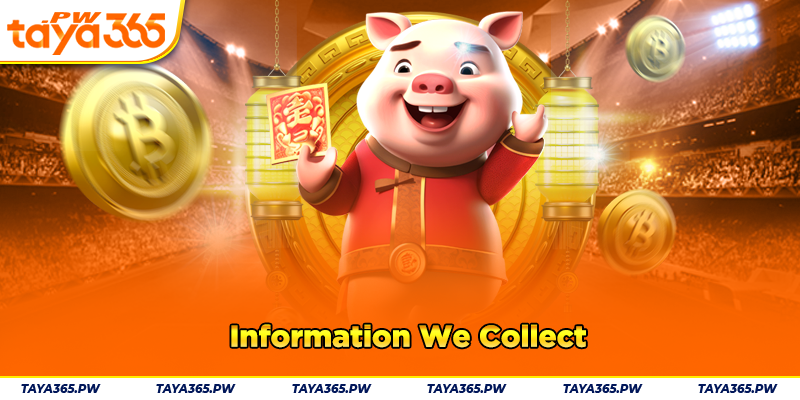 Information We Collect