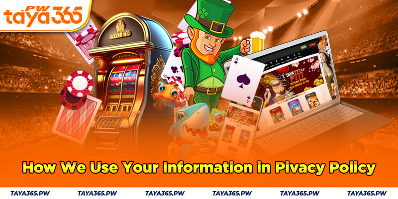 How We Use Your Information in Pivacy Policy?