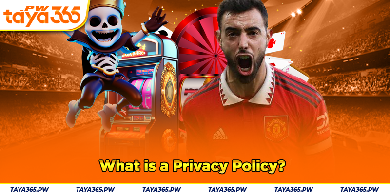 What is a Privacy Policy?