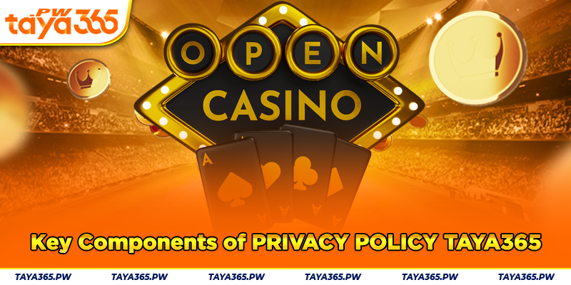 Key Components of Privacy Policy Taya365