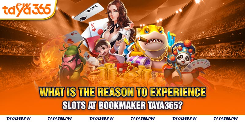 What is the reason to experience Slots at bookmaker Taya365?