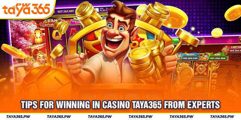 Tips for winning in Casino Taya365 from experts